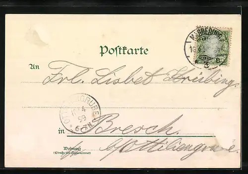 Lithographie Magdeburg, Hasselbach-Brunnen, Insel-Teich, Grusonsches Gewächshaus