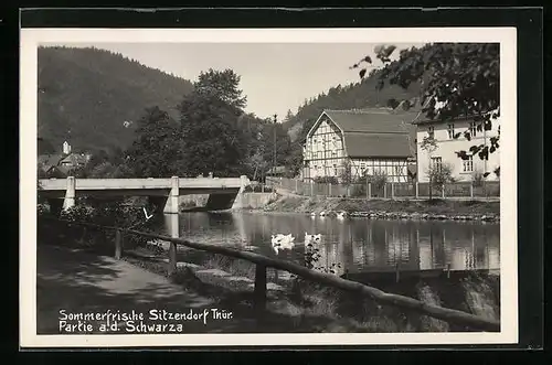 AK Sitzendorf /Thür., Partie an der Schwarza