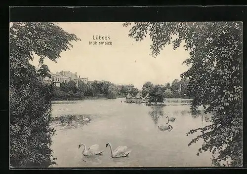 AK Lübeck, Mühlenteich mit Schwänen