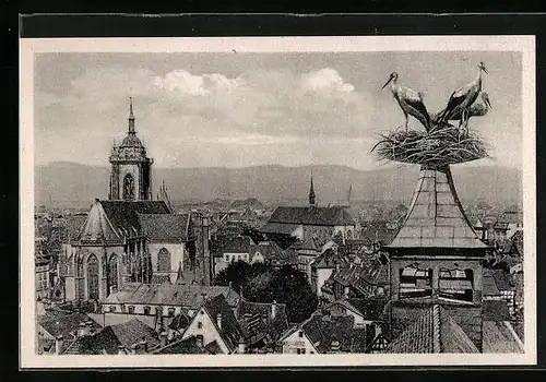 AK Kolmar, Teilansicht mit Storchennest