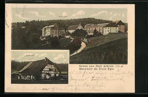 AK Drei Aehren, Panorama, La ferme