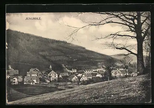 AK Jungholz, Panorama im Frühjahr