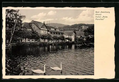 AK Bad Ilsenburg / Harz, Hotel Rote Forellen