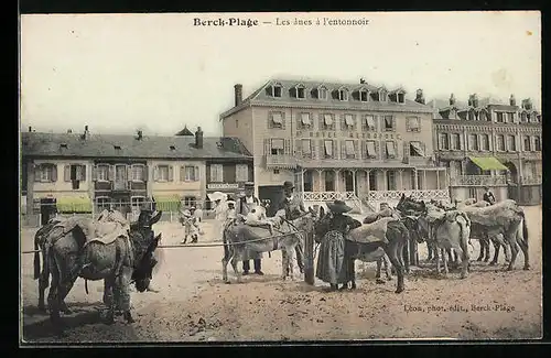 AK Berck-Plage, les anes à l'entonnoir