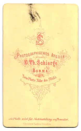 Fotografie E. Th. Schierge, Borna, Bürgerlicher Herr mit Vollbart