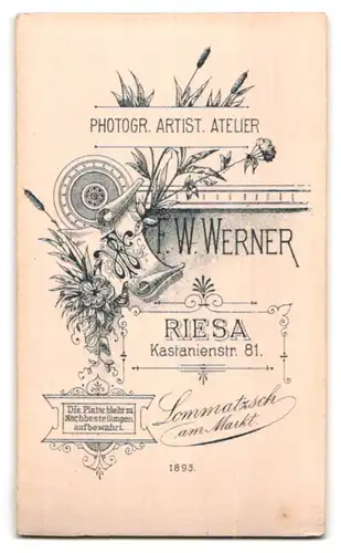 Fotografie F. W. Werner, Riesa, Kastanienstrasse 81, Sitzendes Baby