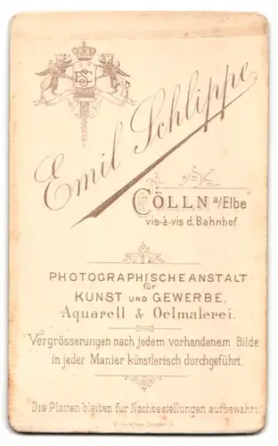 Fotografie Emil Schlippe, Cölln a /Elbe, Junge Frau mit Brosche