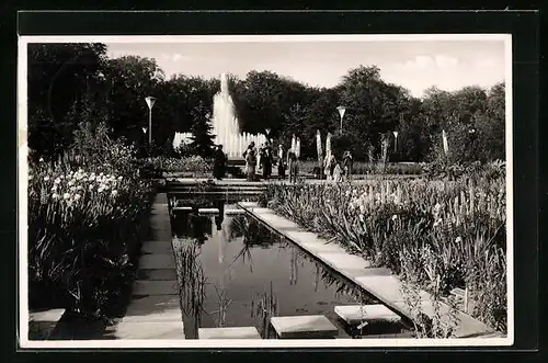 AK Dresden, Jahresschau 1937 Garten und Heim, Irisgarten