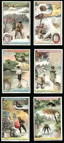 6 Sammelbilder Liebig, Serie Nr.: 918, Pelzjäger, Robben, Bieber, Fuchs, Bär, Hermelin, Fischotter