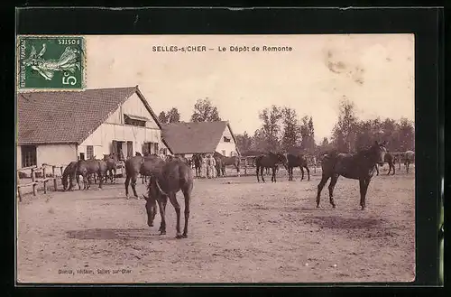 AK Selles-sur-Cher, Le Dépôt de Remonte