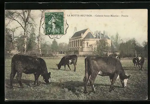 AK La Lamotte-Beuvron, Prairie