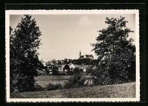 AK Altkirch, Vue sur la Ville