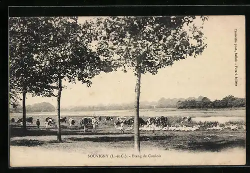 AK Souvigny, Etang de Coulois
