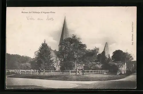 AK Faverolles, Ruines de l`Abbaye d`Aigues-Vives