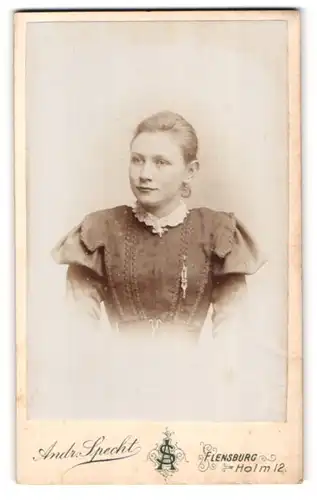 Fotografie A. Specht, Flensburg, Holm 12, Junge Dame in bestickter dunkler Robe