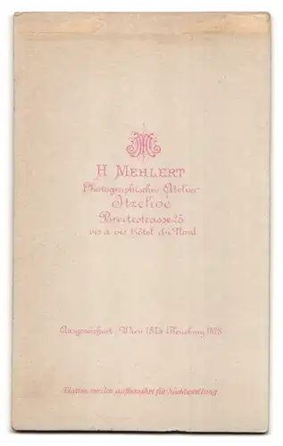 Fotografie H. Mehlert, Itzehoe, Breitestrasse 25, Feiner Herr im Anzug und mit Vollbart