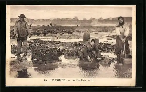 AK Le Portel, Les Mouliers