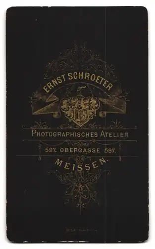 Fotografie Ernst Schroeter, Meissen, Obergasse 597, Junger Mann im Anzug mit Krawatte