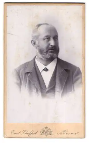 Fotografie Emil Schuffert, Borna, Stattlicher Herr im Anzug mit grauem Bart