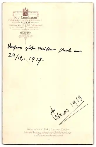 Fotografie K. L. Sobehrad, Plzen, ältere Dame im Pelzmantel mit Federhut, 1913