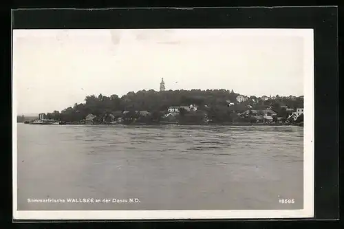 AK Wallsee /Donau, Blick von der Donau auf den Ort