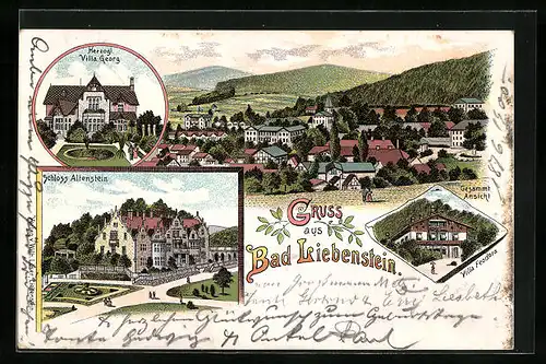 Lithographie Bad Liebenstein, Herzogliche Villa Georg, Villa Feodora, Schloss Altenstein