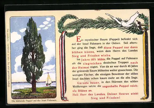 AK Eine Pappel auf Fehmarn