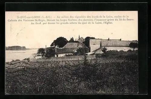 AK St-Dyé-sur-Loire, Au millieu des vignobles des bords de la Loire