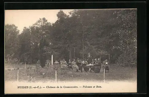 AK Muides, Chateau de la Cressonniere - Pelouses et Bois