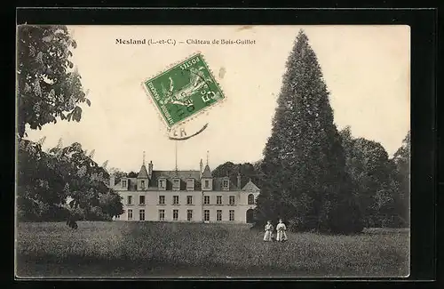 AK Nesland, Chateau de Bois-Guillot