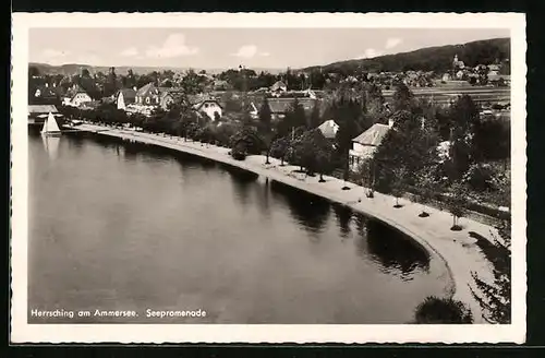 AK Herrsching am Ammersee, Seepromenade aus der Vogelschau