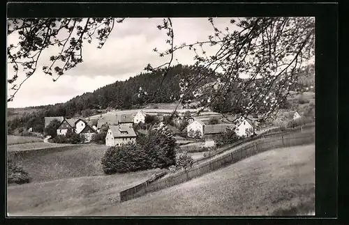 AK Altersbach /Thür., Gesamtansicht vor Hügel