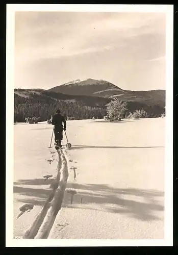 Fotografie Wintersport, Ski - Langläufer auf Tour im verschneiten Gebirge