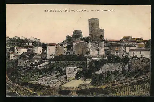AK Saint-Maurice-sur-Loire, Vue gènèrale