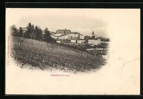 AK Ambierle, Vue gènèrale