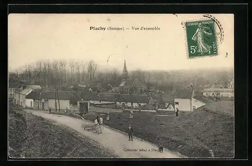 AK Plachy, Vue d`ensemble