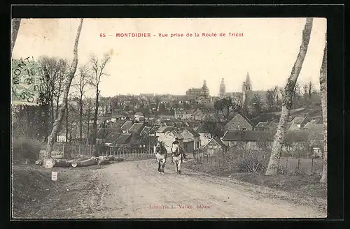 AK Montdidier, Vue prise de la Route de Tricot