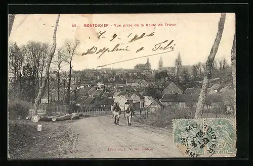 AK Montdidier, Vue prise de la Route de Tricot