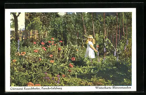 AK Salzburg-Parsch, Gärtnerei Rauschhofer, Winterharte Blütenstauden