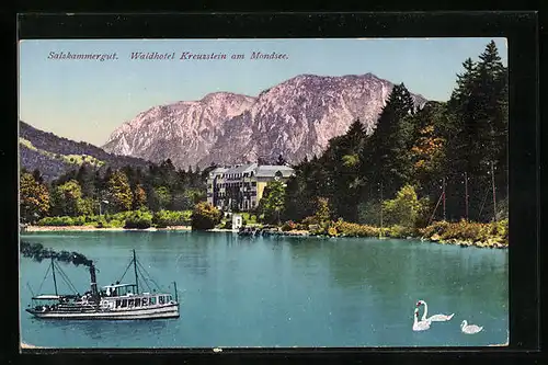 AK Mondsee / Salzkammergut, Waldholte Kreuzstein, Seepartie mit Dampfer