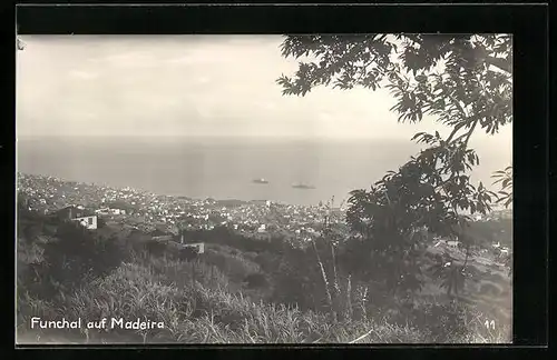 AK Funchal, Panorama