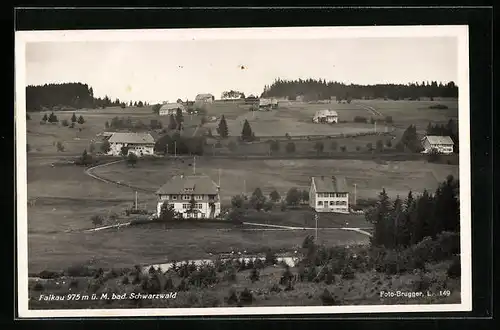 AK Falkau im bad. Schwarzwald, Blick auf die Häuser am Hang