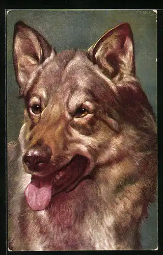 Künstler-AK Ludwig Fromme: Hundeporträt