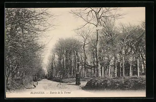 AK Blingues, Entrèe de la Ferme