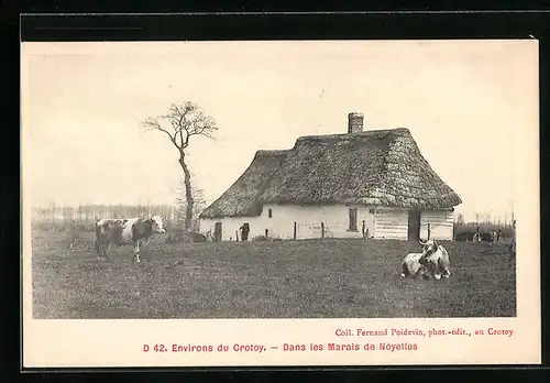 AK Noyelles-sur-Mer, Dans les Marais