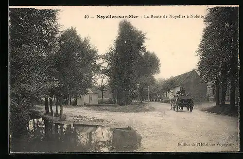 AK Noyelles-sur-Mer, La Route de Noyelles à Nolette