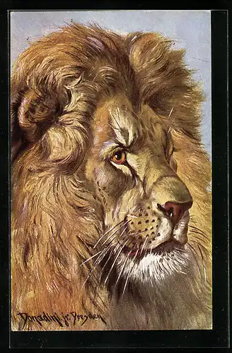 Künstler-AK Ermenegildo Carlo Donadini: Löwenkopf