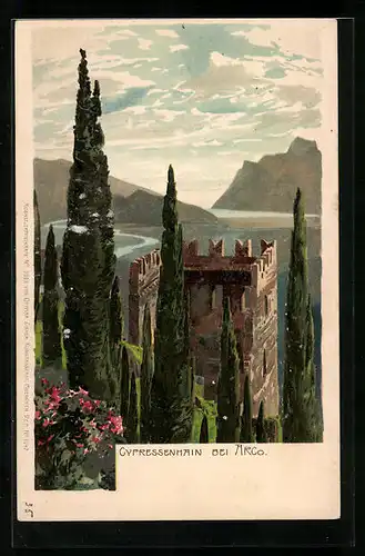 Künstler-AK Zeno Diemer: Arco, Zypressenhain