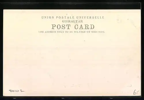 AK Gibraltar, The Library