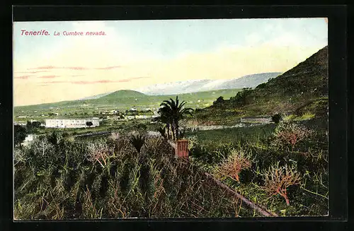 AK Tenerife, La Cumbre nevada